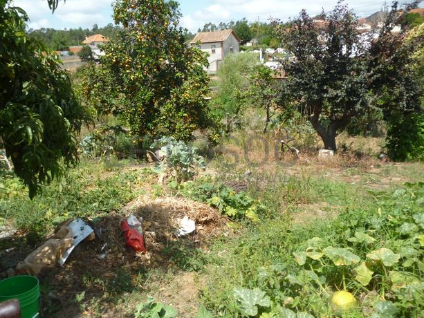 Meação de Quinhão Hereditário · Oliveira de Azeméis