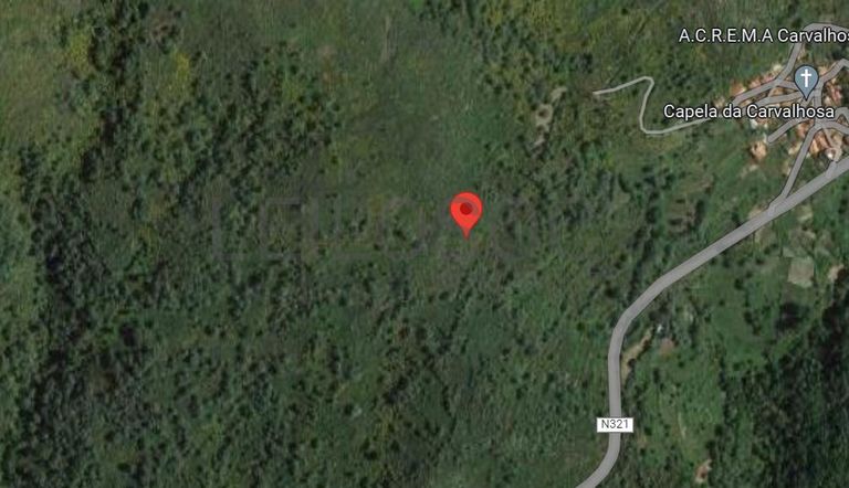 Quinhão Hereditário