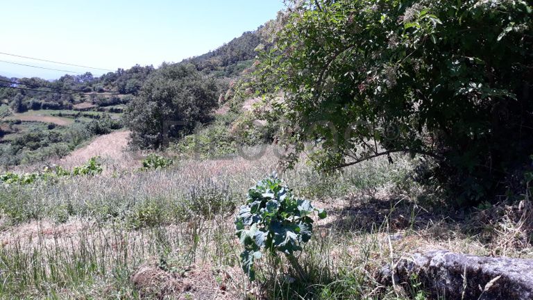 Quinhão Hereditário