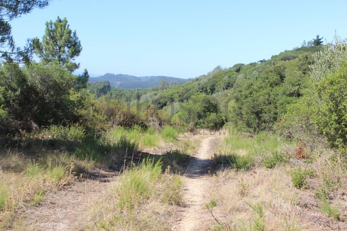 1/2 de Casa de arrecadação + Terreno · Rio Maior, Santarém