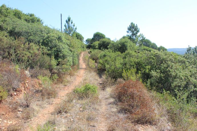 1/2 de Casa de arrecadação + Terreno · Rio Maior, Santarém