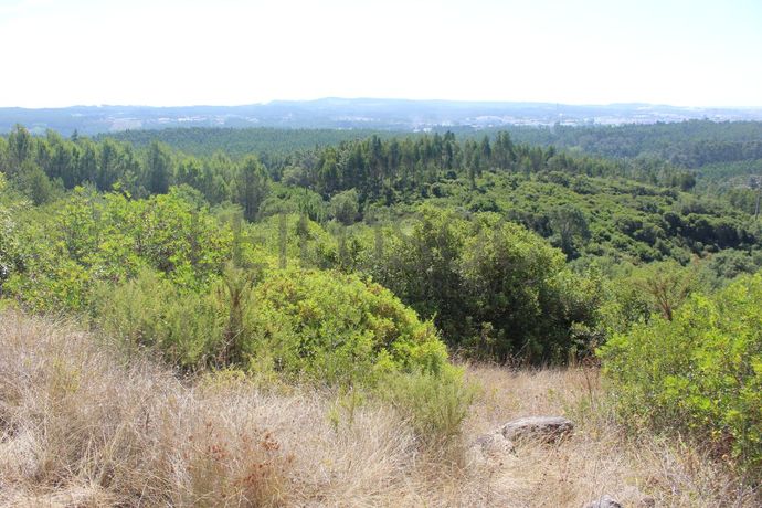 1/2 de Casa de arrecadação + Terreno · Rio Maior, Santarém