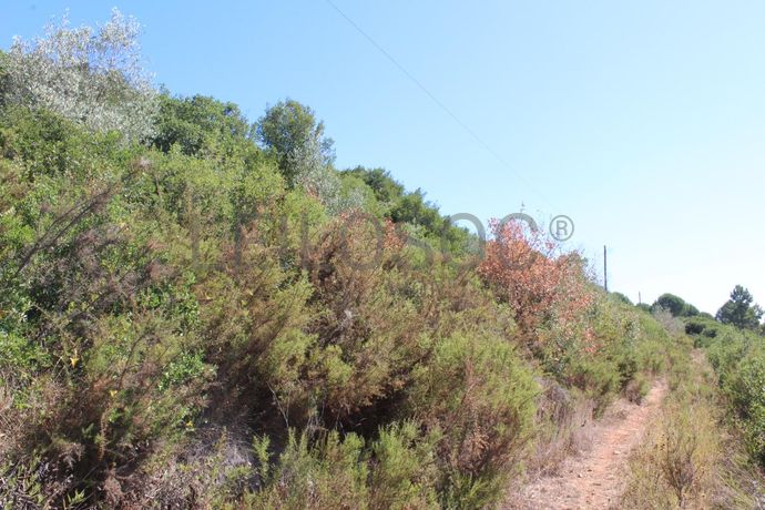 1/2 de Casa de arrecadação + Terreno · Rio Maior, Santarém