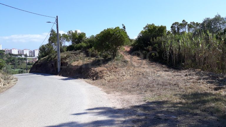 Moradia em Ruínas · Terrenos · Figueira da Foz