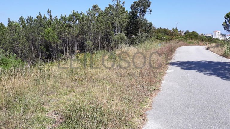 Moradia em Ruínas · Terrenos · Figueira da Foz