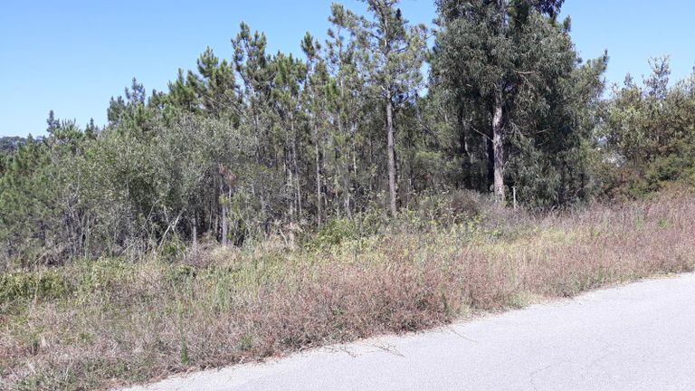 Moradia em Ruínas · Terrenos · Figueira da Foz