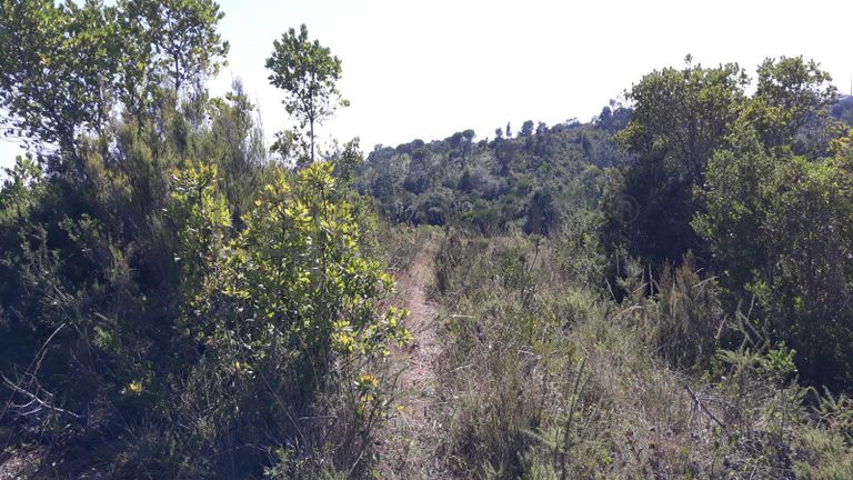 Moradia em Ruínas · Terrenos · Figueira da Foz