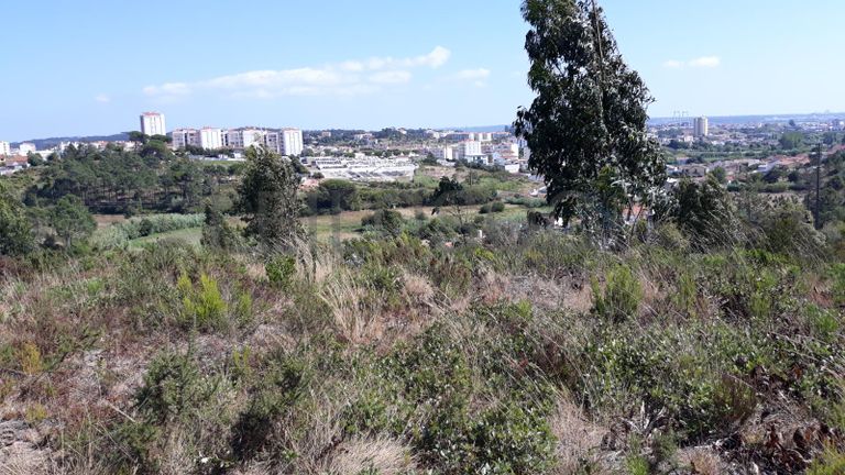 Moradia em Ruínas · Terrenos · Figueira da Foz