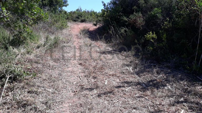 Moradia em Ruínas · Terrenos · Figueira da Foz