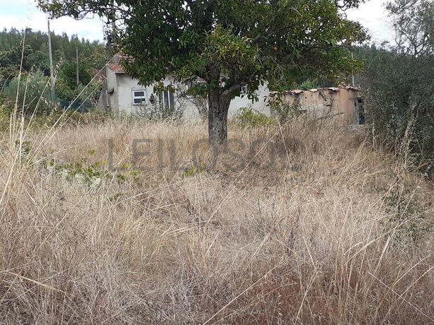 Quintão Hereditário · Leiria