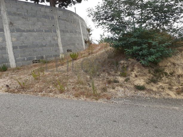 Quintão Hereditário · Leiria