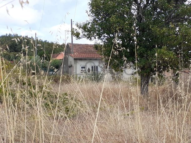 Quintão Hereditário · Leiria