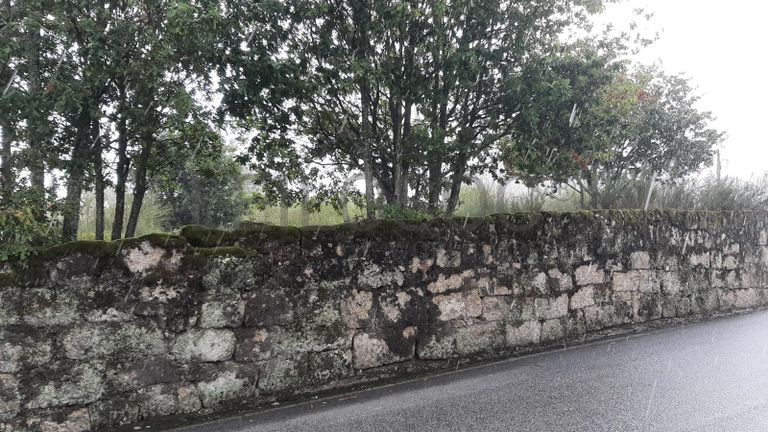 Terreno para construção · Oliveira do Hospital