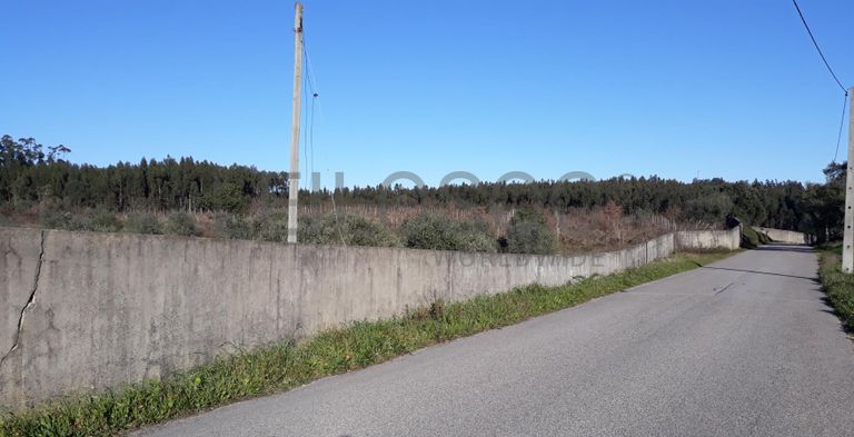 Quinta com casarão e Terreno · Ferreira do Zêzere