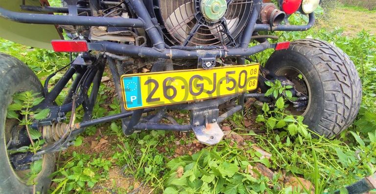 Buggy Renli RLG1-500 DZ