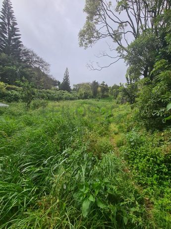 1/2 de Moradia + Terreno · Ponta Delgada, Arquipélago dos Açores