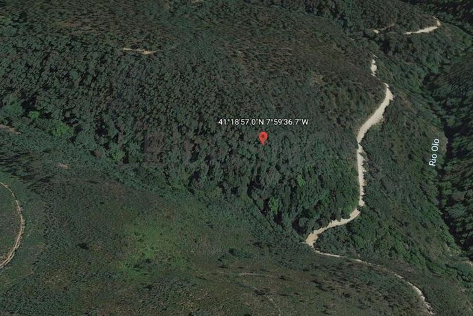 Terreno com +2,4 Hectares · Rebordelo, Amarante