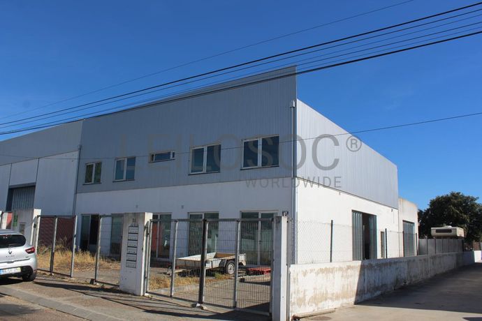 Totalidade: Lotes 1 a 5 · Lojas · Escritórios