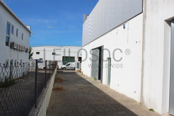 Totalidade: Lotes 1 a 5 · Lojas · Escritórios