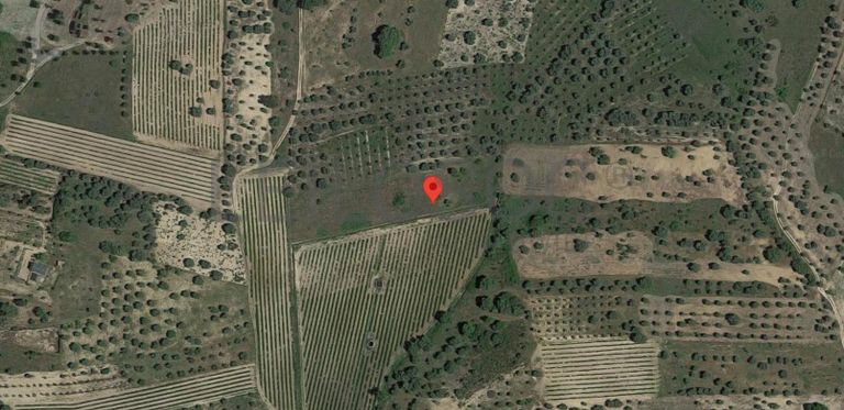 1/6 de Terreno · Cuba, Beja