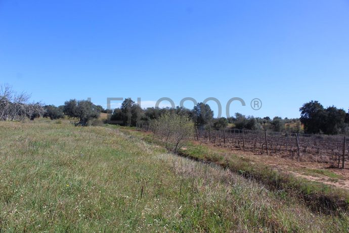 1/6 de Terreno · Cuba, Beja