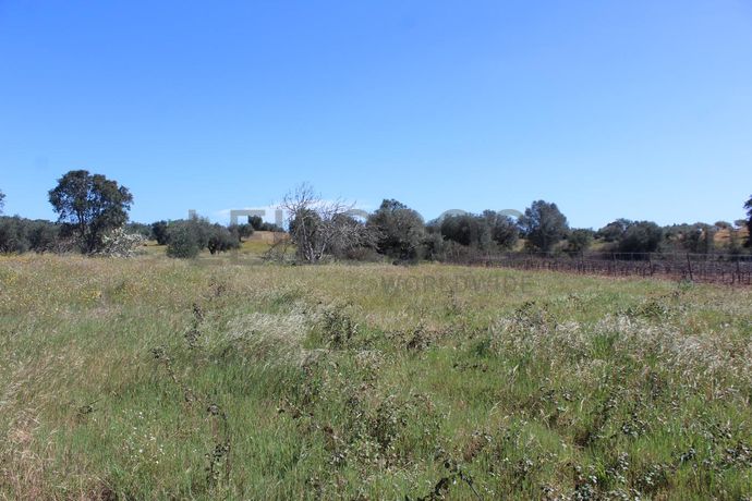 1/6 de Terreno · Cuba, Beja