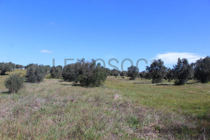 Terreno · Cuba, Beja