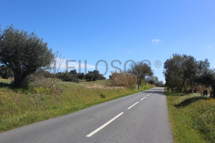 Terreno · Cuba, Beja