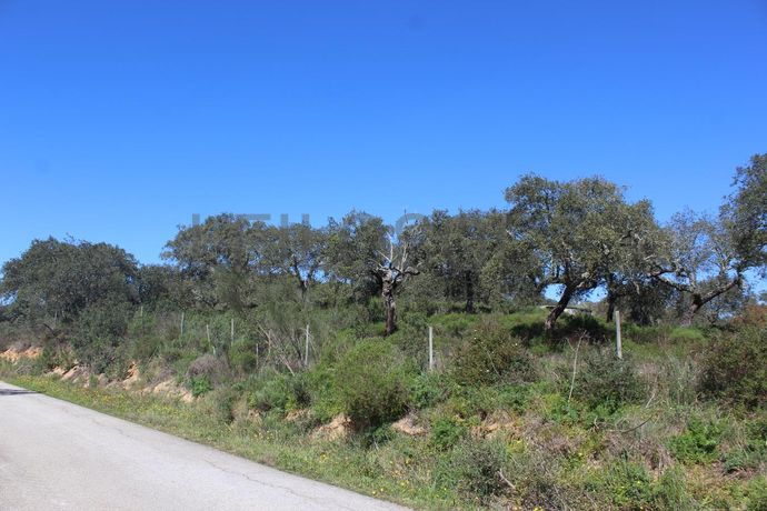 Terrenos · Cuba, Beja