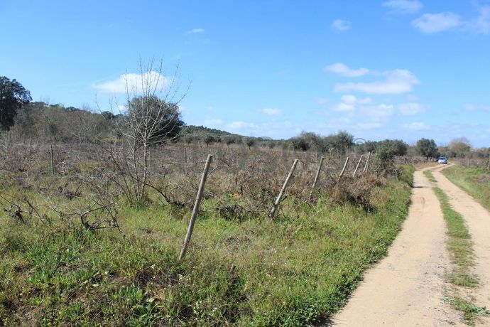 Terrenos · Cuba, Beja