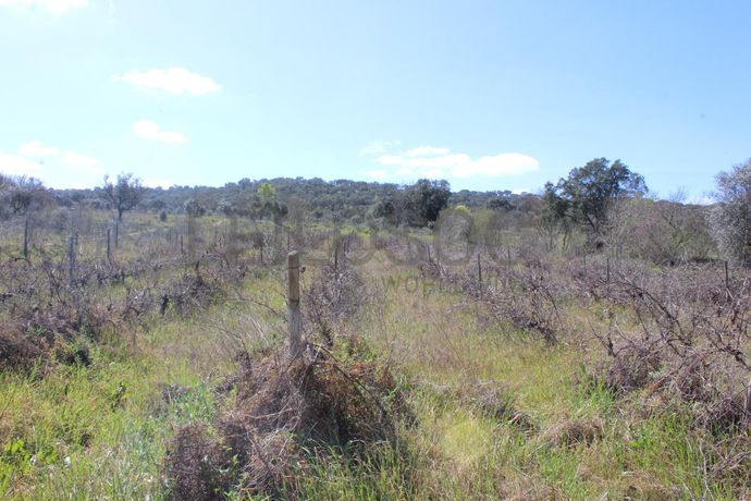 Terrenos · Cuba, Beja