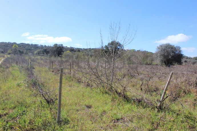 Terrenos · Cuba, Beja