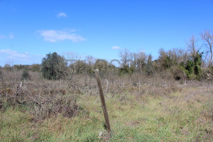 Terrenos · Cuba, Beja