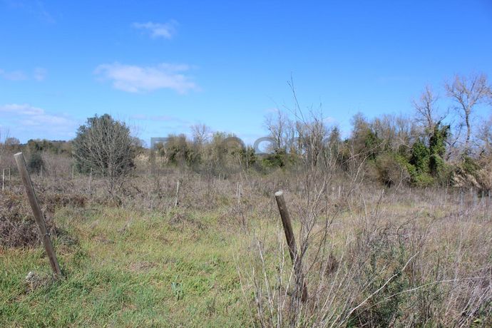 Terrenos · Cuba, Beja