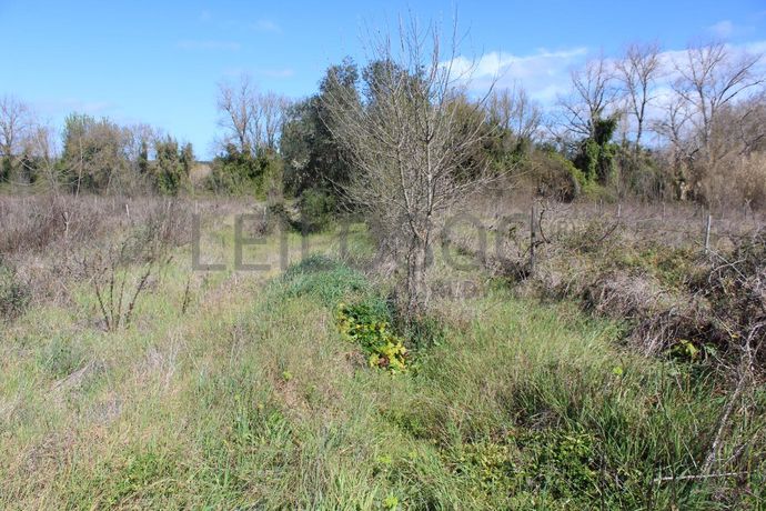 Terrenos · Cuba, Beja