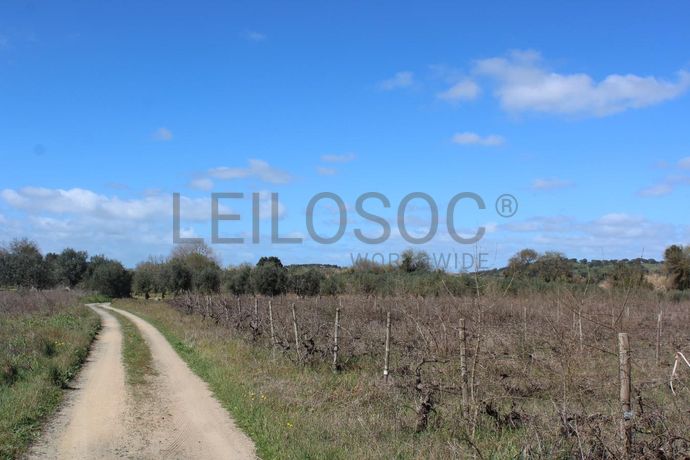 Terrenos · Cuba, Beja