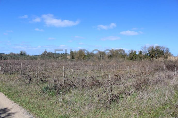 Terrenos · Cuba, Beja