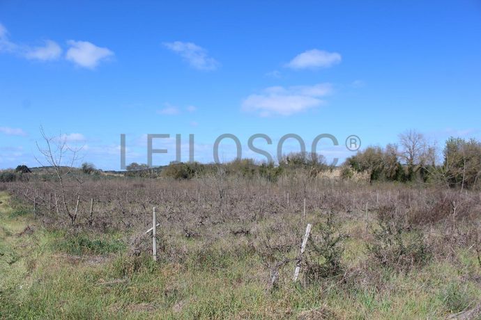 Terrenos · Cuba, Beja