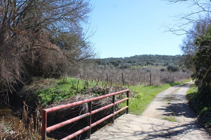 Terrenos · Cuba, Beja
