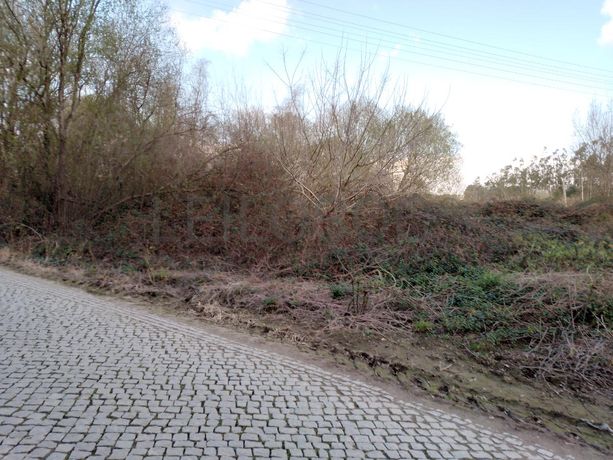 Terreno · Vila do Conde