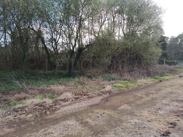 Terreno · Vila do Conde