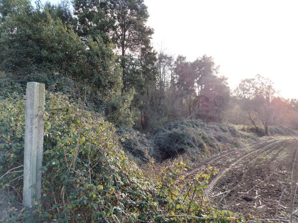 Terreno · Vila do Conde