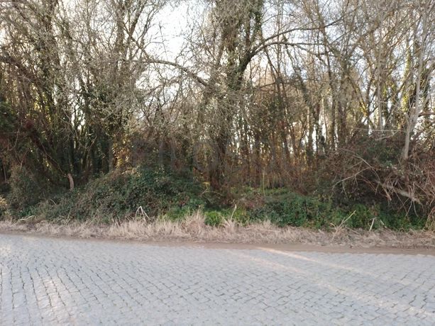 Terreno · Vila do Conde