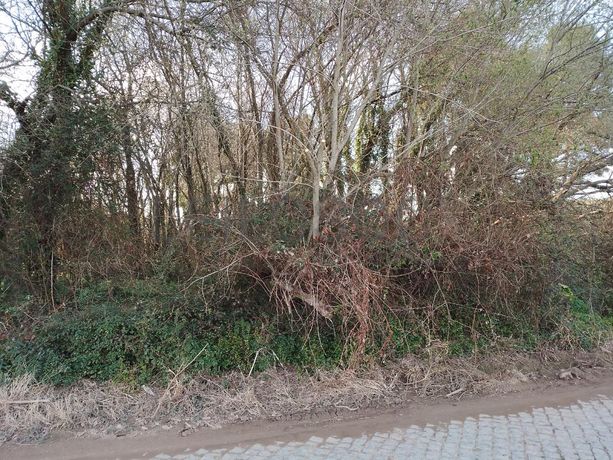 Terreno · Vila do Conde