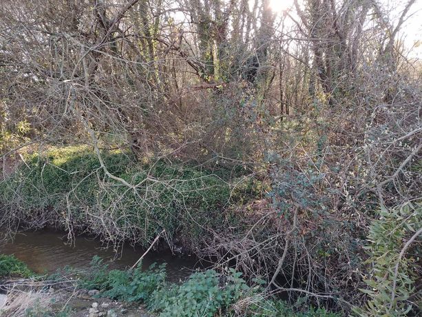 Terreno · Vila do Conde