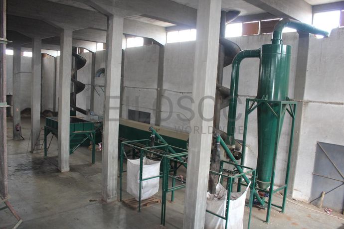 Linha de limpeza e secagem de caroço de azeitona FN15