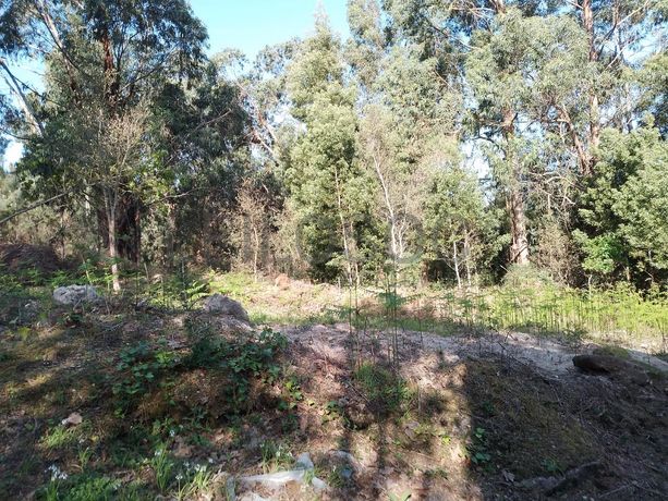 Terreno · Póvoa de Lanhoso