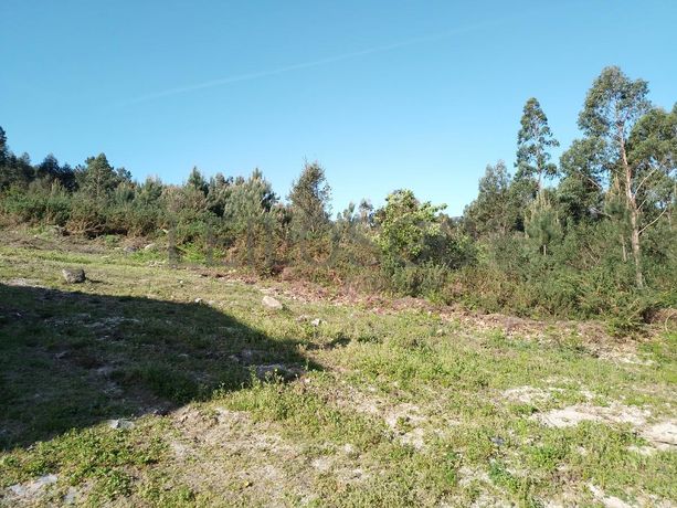Terreno · Póvoa de Lanhoso