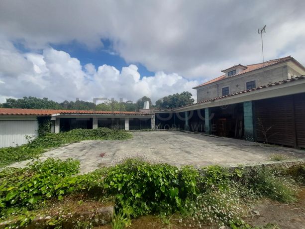 Quinta · Âncora, Caminha