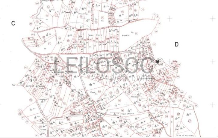 Quinhão Hereditário · Tomar